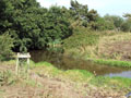 Aldingham Motte photo Matthew Emmott