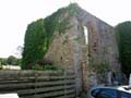 Angle Castle photo Charles Taylor