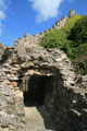 Berwick Castle photo Andrew Tivenan