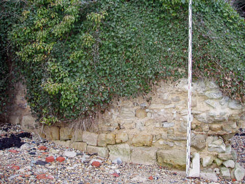 Remains of St James Fort