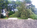 Caerleon Castle motte photo Andrew Tivenan