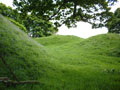 Photo Matthew Emmott