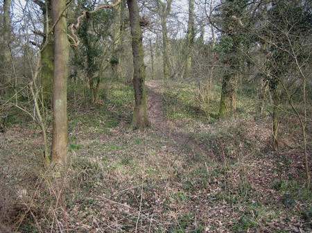 CHESSINGTON CASTLE HILL