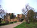 Photo Andrew Tivenan