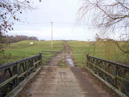 KING'S COURT