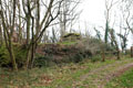 Inner motte photo Andrew Tivenan