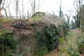 Inner motte photo Andrew Tivenan