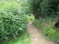 Inner bailey from the mound photo Charles Taylor