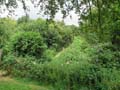 Mound from the bailey photo Charles Taylor