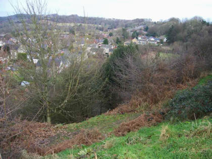 SHAFTESBURY CASTLE