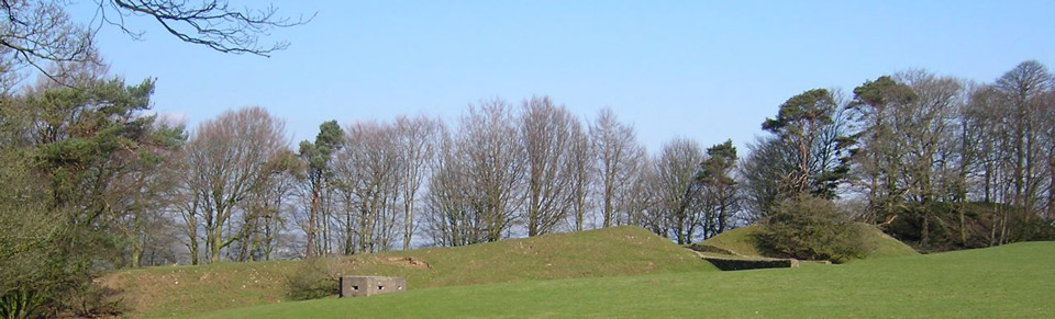CASTLE STEDE