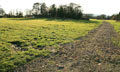 Moated Site photo Andrew Tivenan