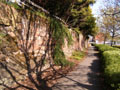 City Walls photo Andrew Tivenan